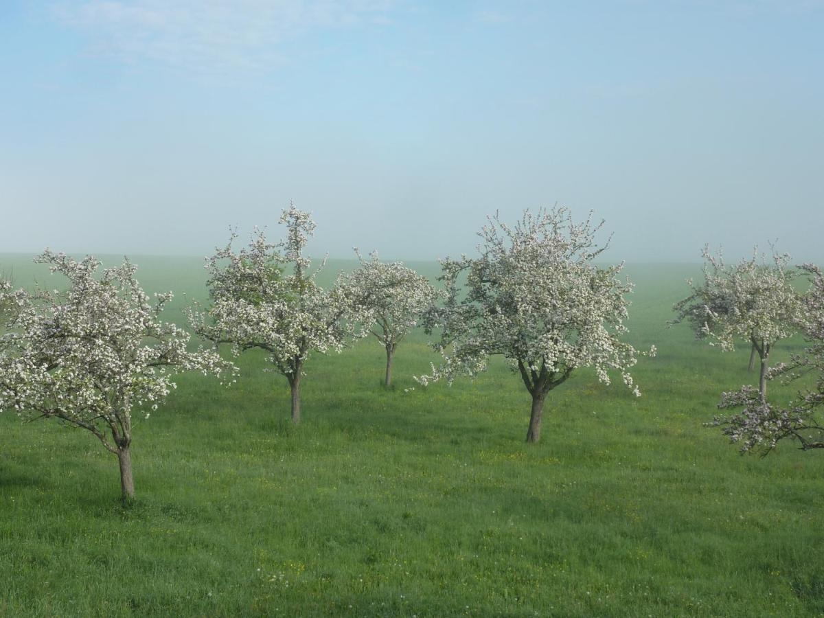 مبيت وإفطار Saint-Pierre-du-Regard Domaine De L'Etre المظهر الخارجي الصورة